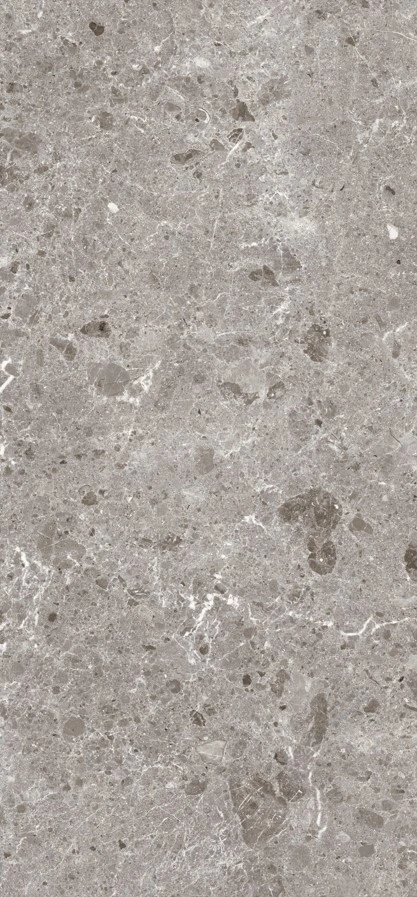 ARTIC GRIS PUL.120X260 5,6