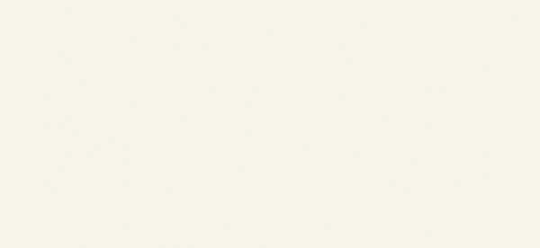 BASIC BLANCO 60X120 5,6