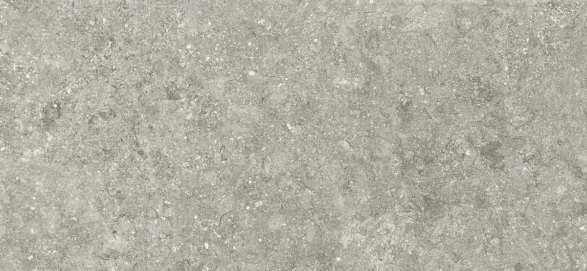 BLUE STONE GRIS 100X300 3,5