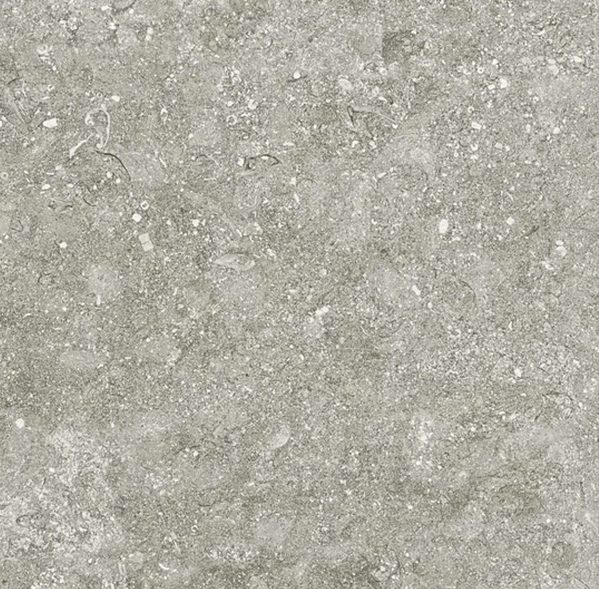 BLUE STONE GRIS 100X100 5,6
