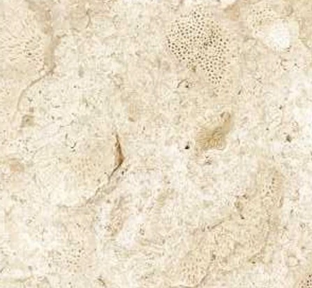 CORALINA BLANCO 120X120 5,6