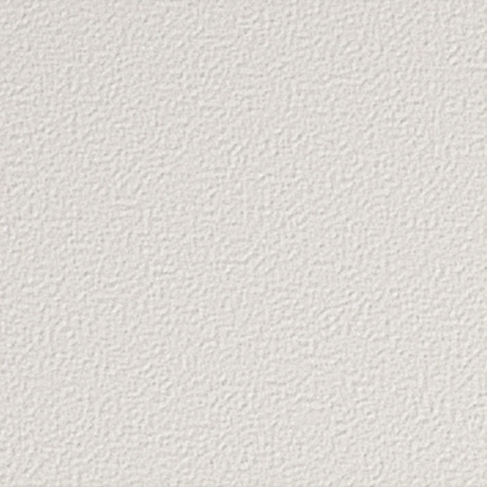 Dressage White Equus Terratinta 9x28 Матова