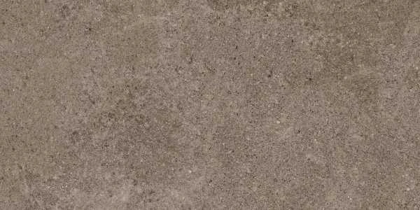 PORFIDO BROWN 60X120 5,6