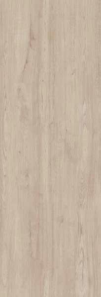 JUNGLA CIPRES 100X300 3,5