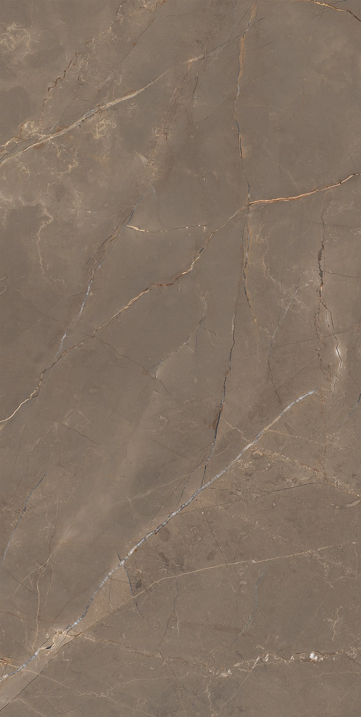 OUD AMANI 120*280 Полірована 6 mm