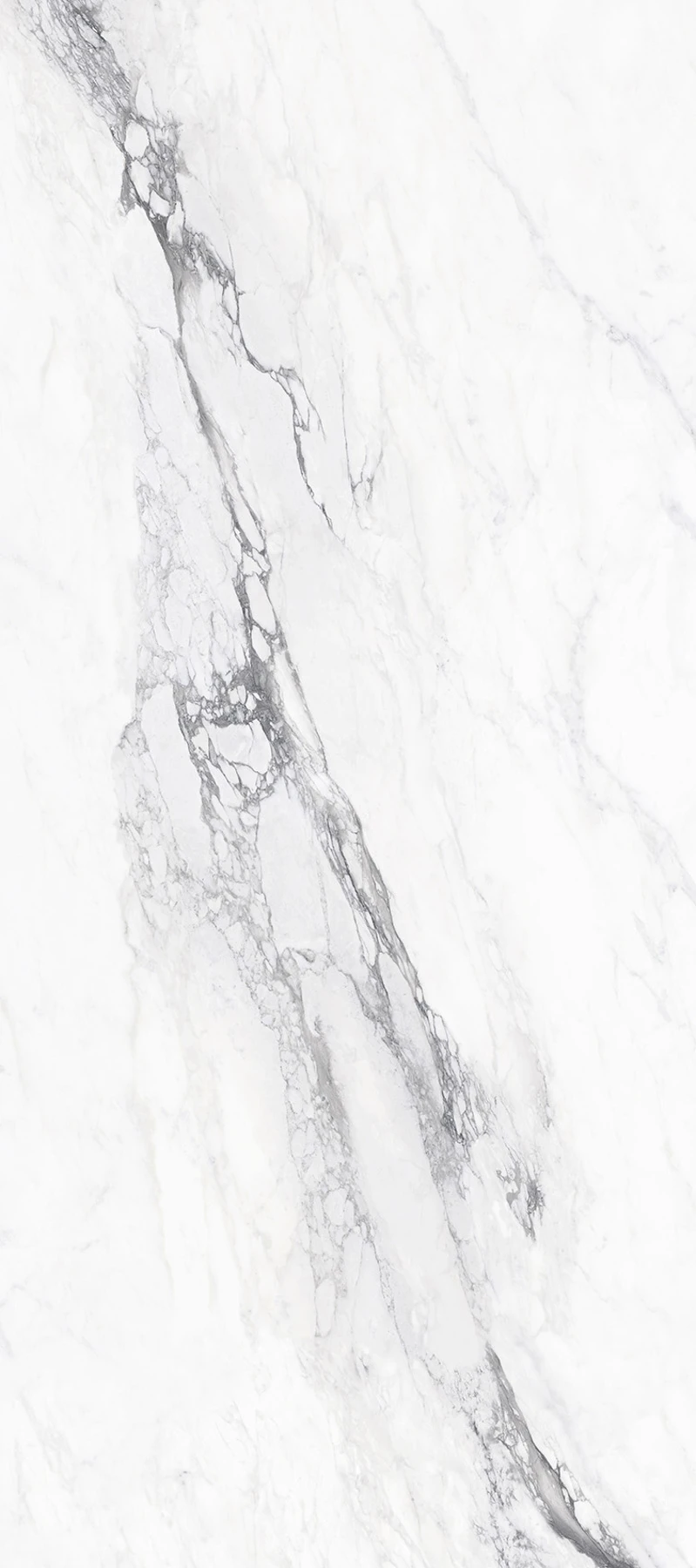 BERNINI BERNINI 120*280 Полірована 6 mm