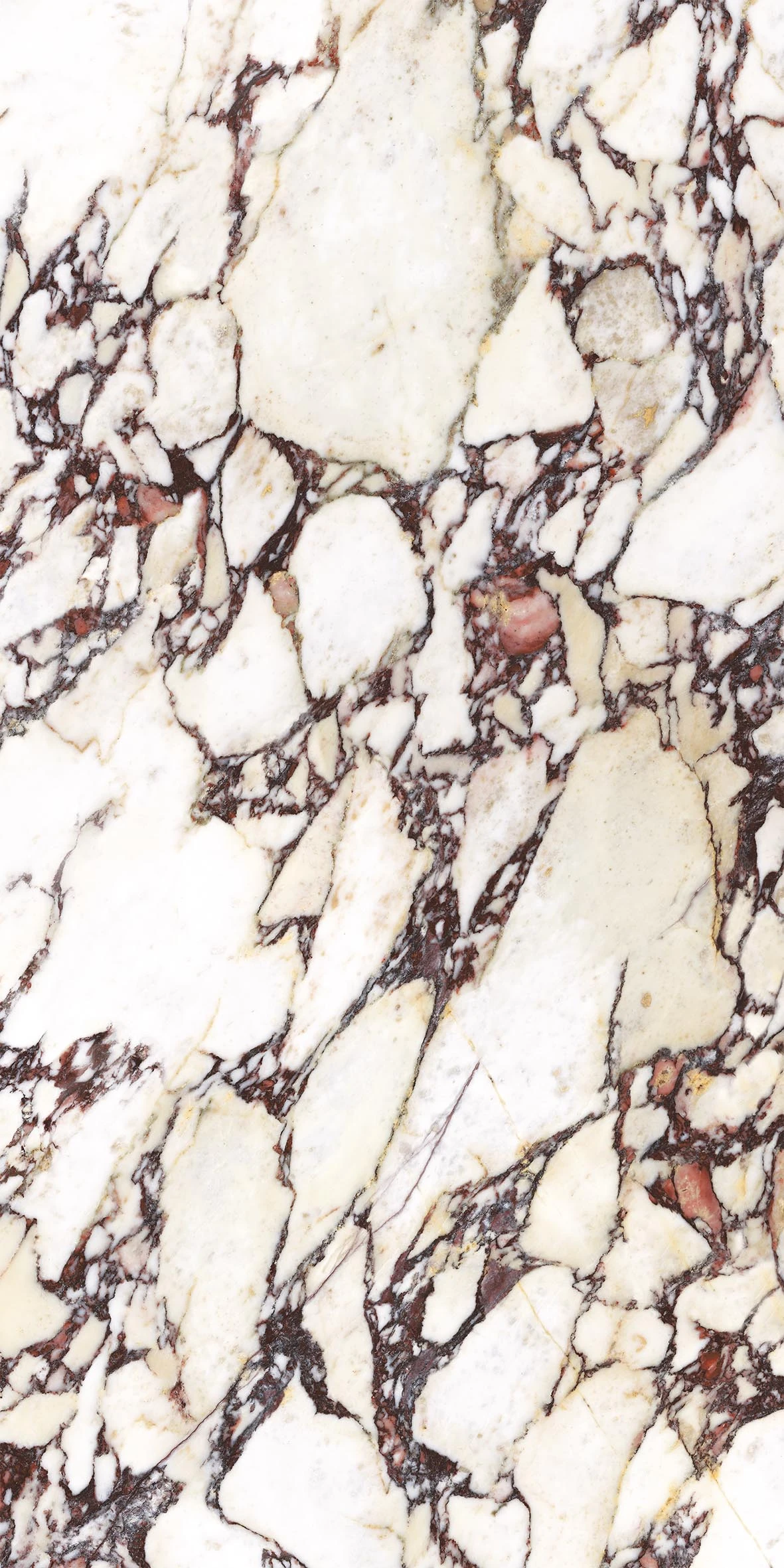 CALACATTA VIOLA CALACATTA VIOLA 120*280 Матова 6 mm