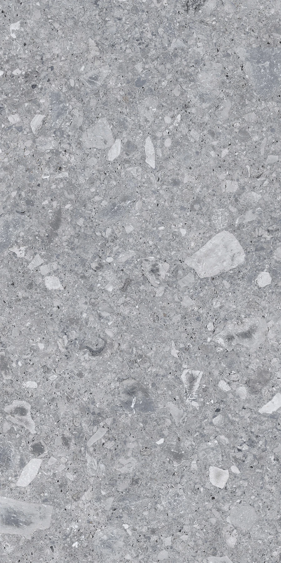 GREY CEPPO DI GRE 120*280 Матова 6 mm