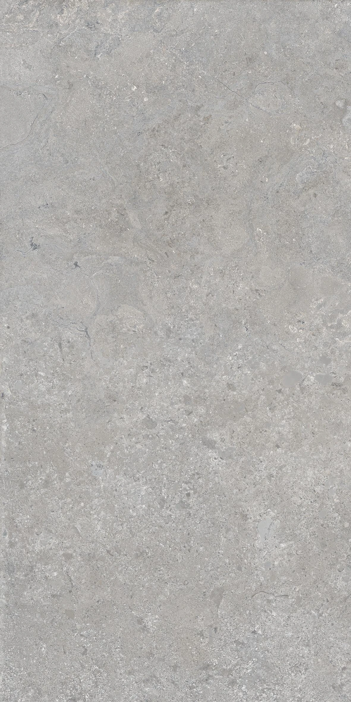 POWDER HERITAGE 60*120 Матова 9 mm
