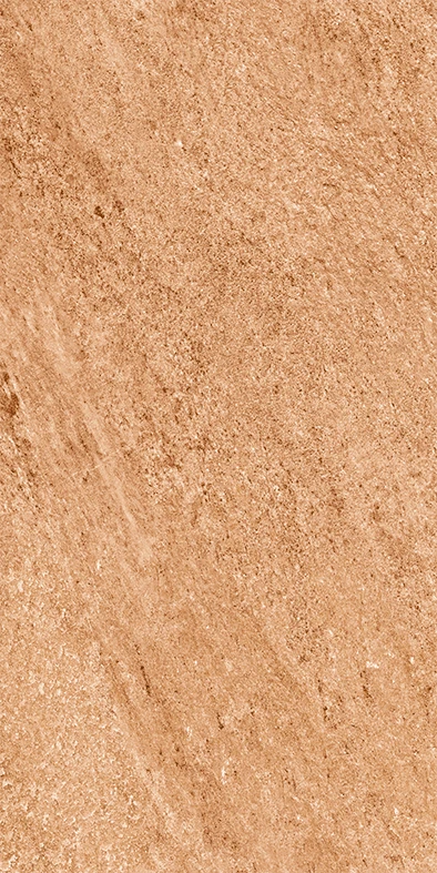TERRACOTTA RUSHMORE 60*120 Матова 9 mm